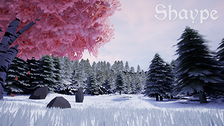 Snow Test